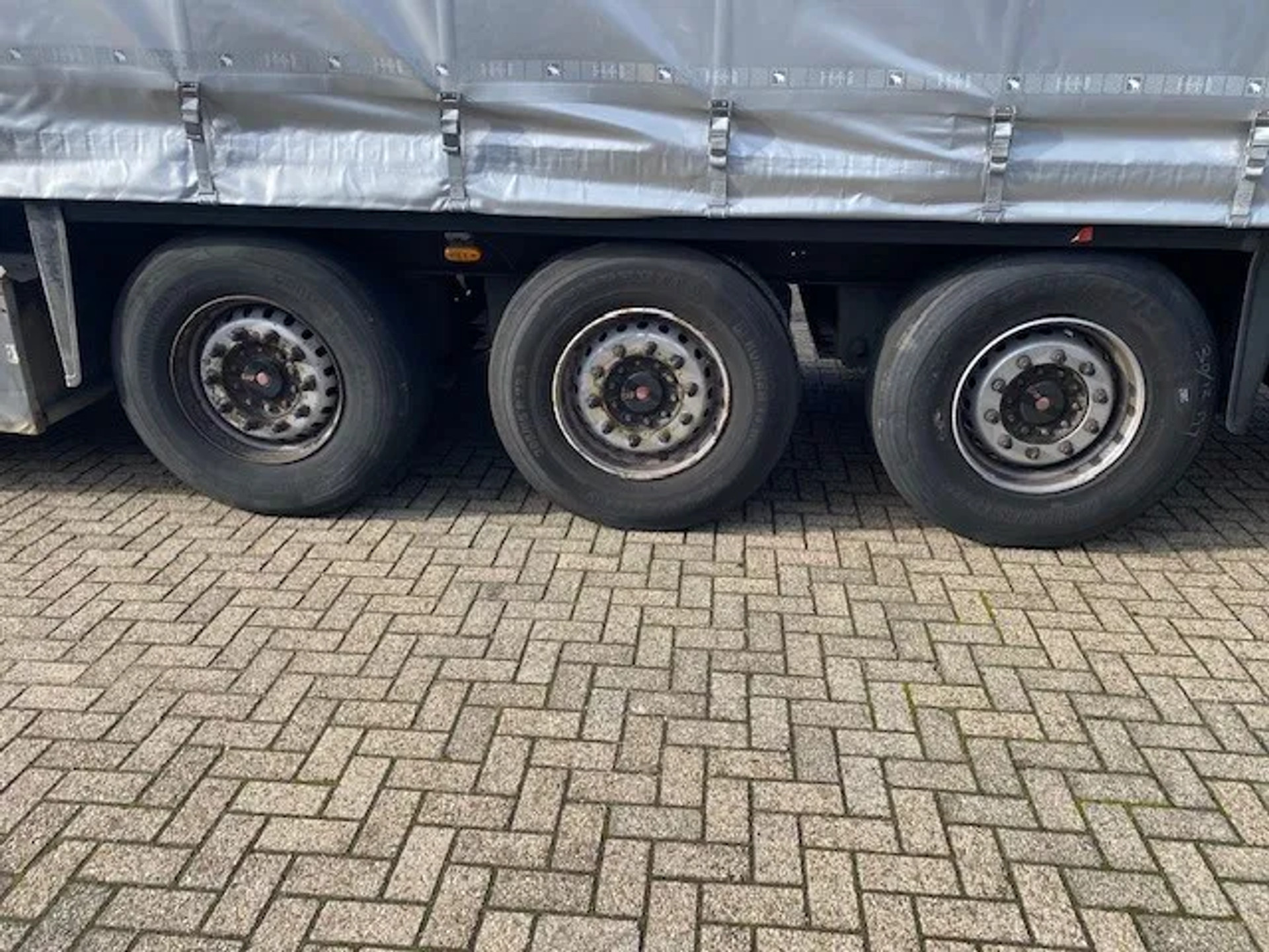 48646007-5.jpg